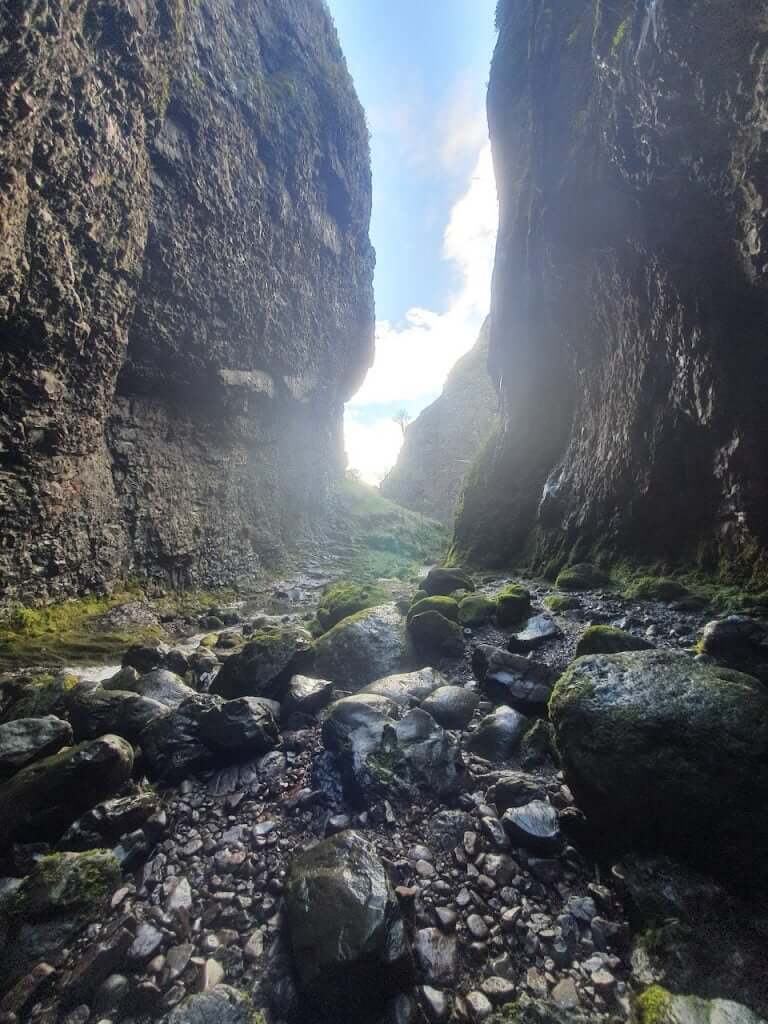 Alva Glen forest path
