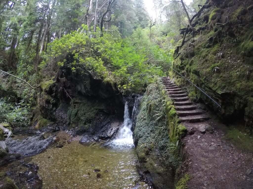 Benmore Botanic Garden