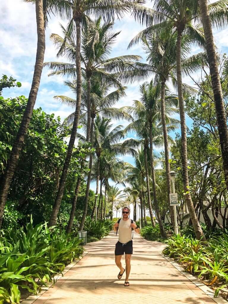 Palm trees everywhere in Miami