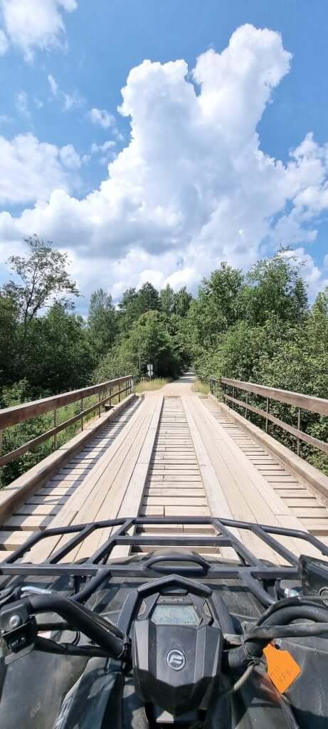 Forest trail wooden bridge