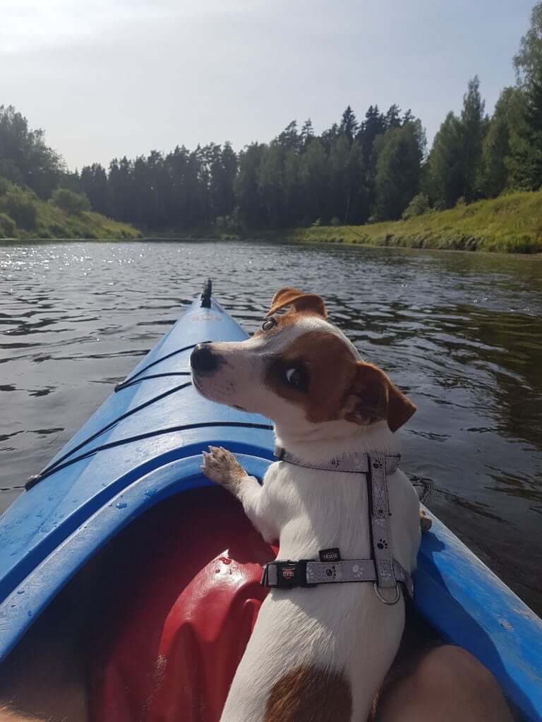 Gauja river with Mailo