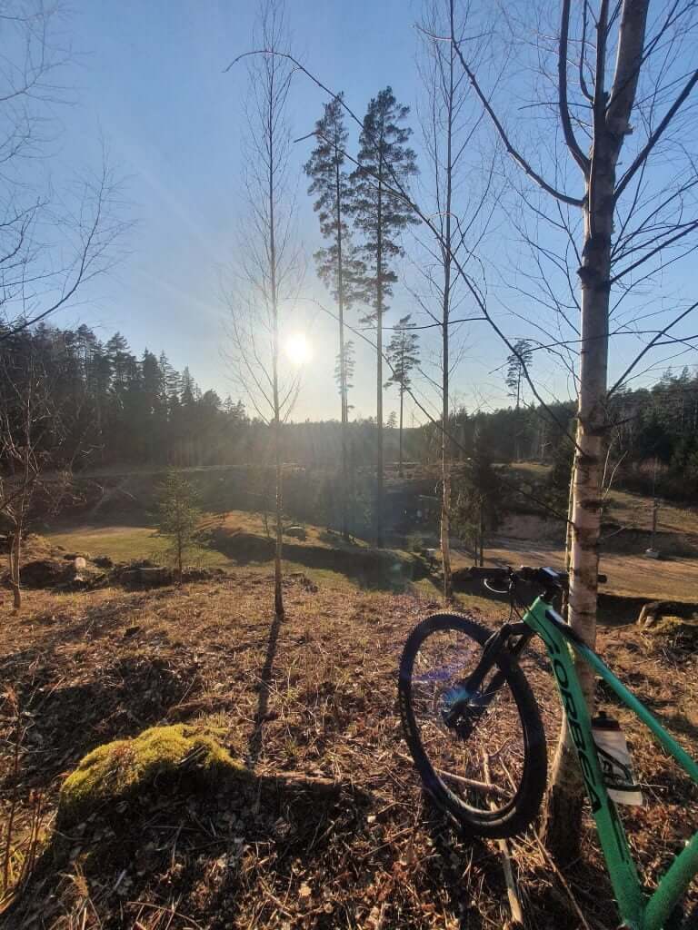 With some sunny views