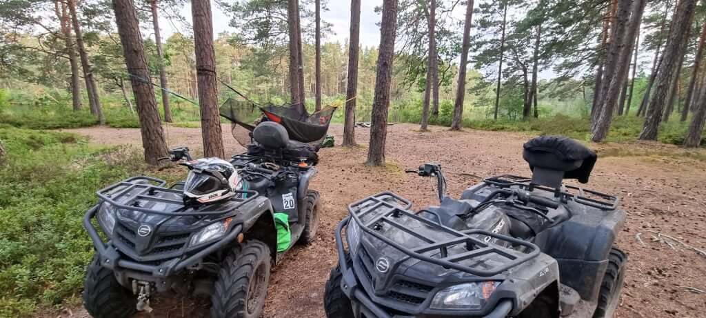 Nature dining experience