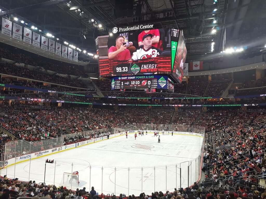 Sports fans at the game