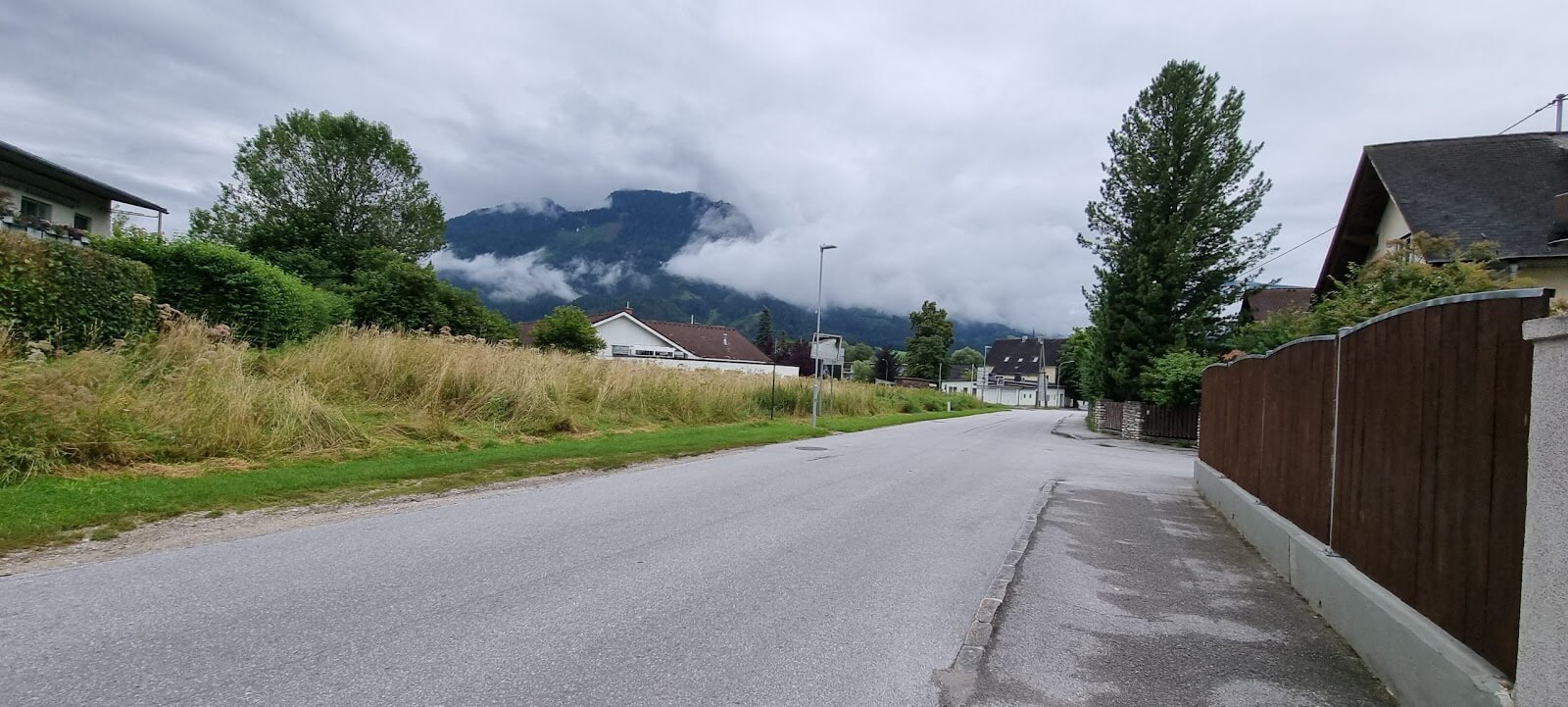 Neighborhood for next few days