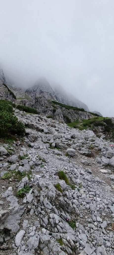 Path to the top of the mountain