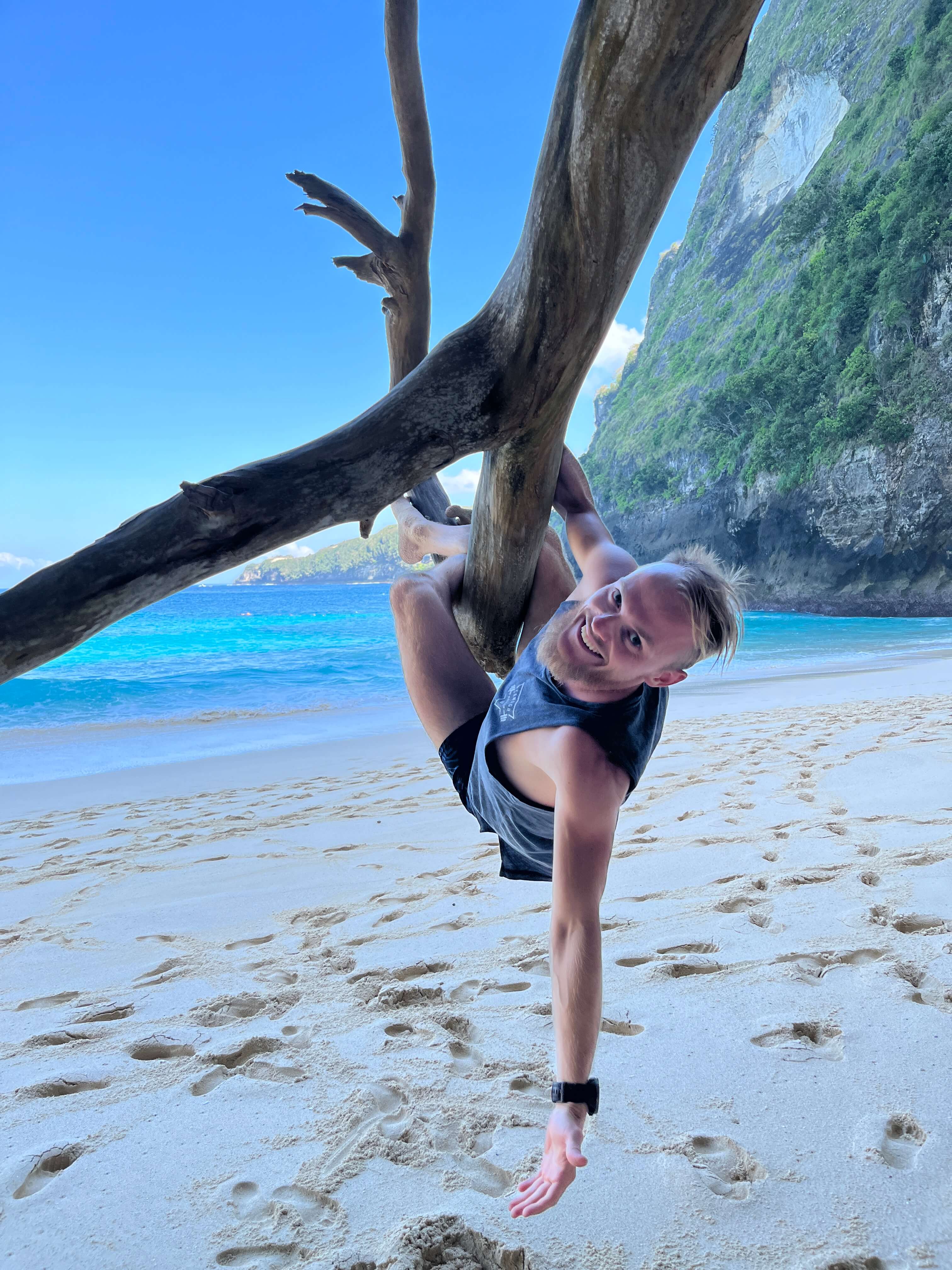 Beach tree swing