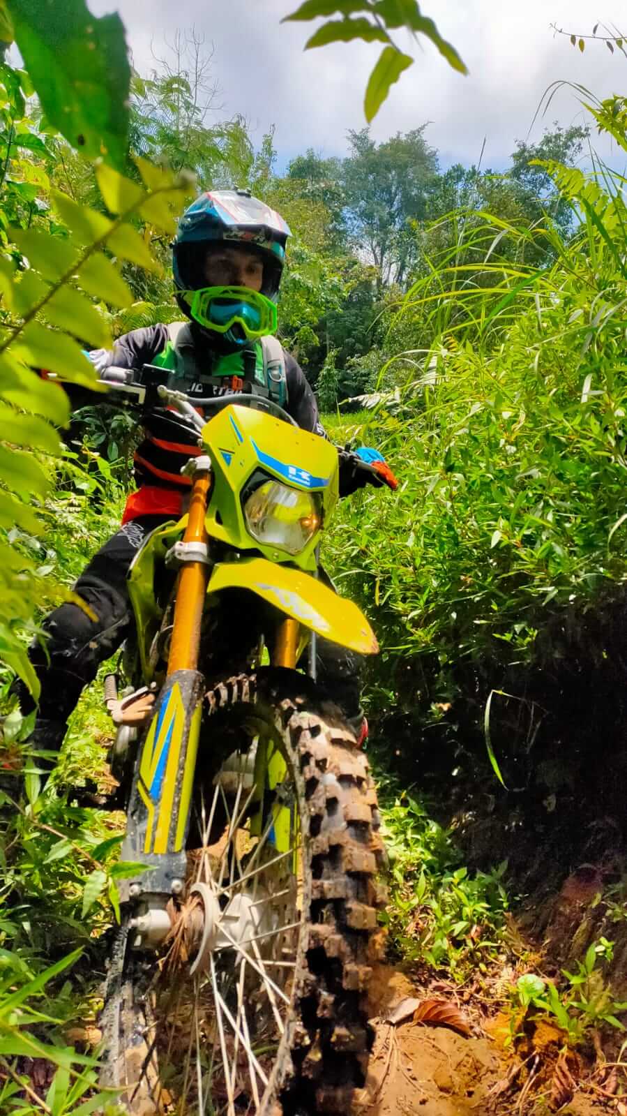 Dirt bike jungle