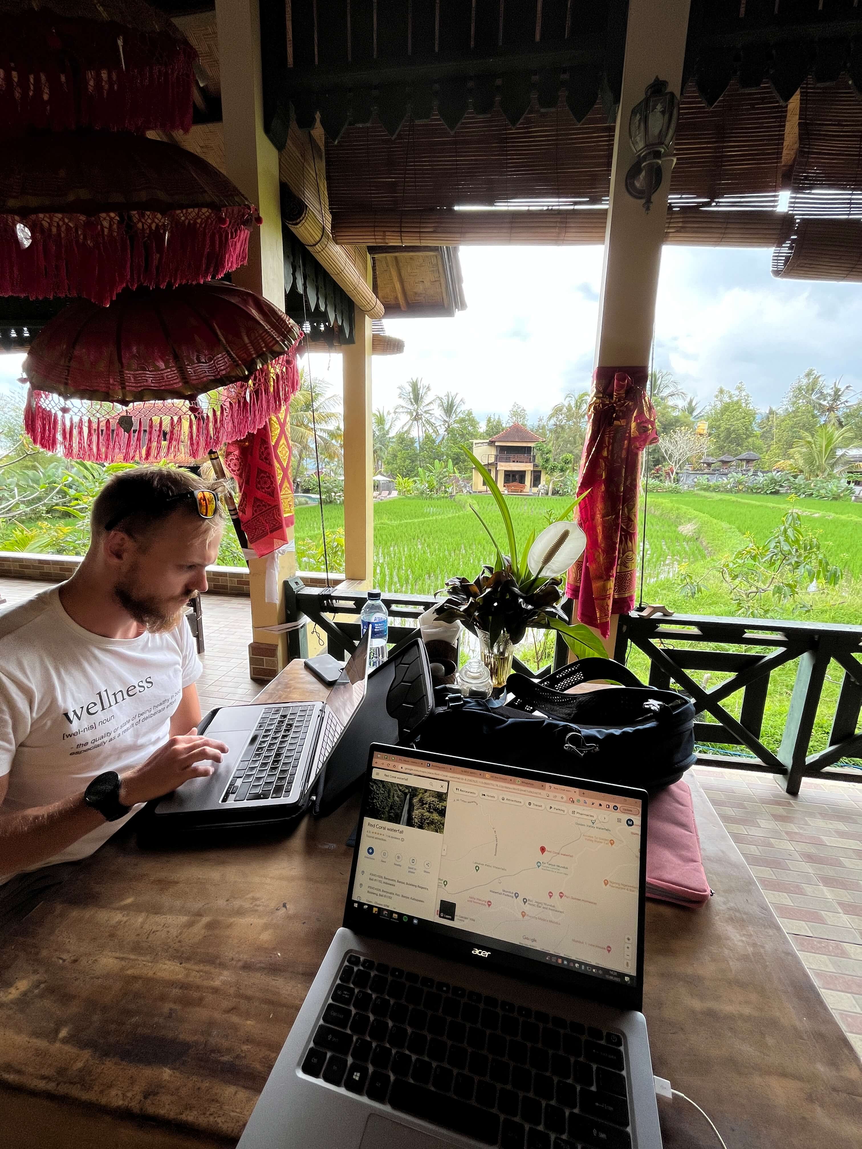 Working with rice fields
