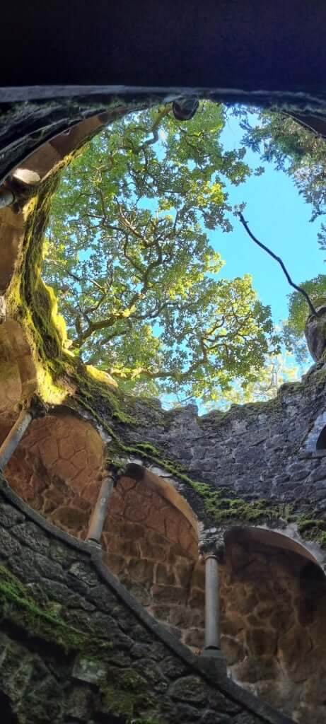 Initiation Well top view
