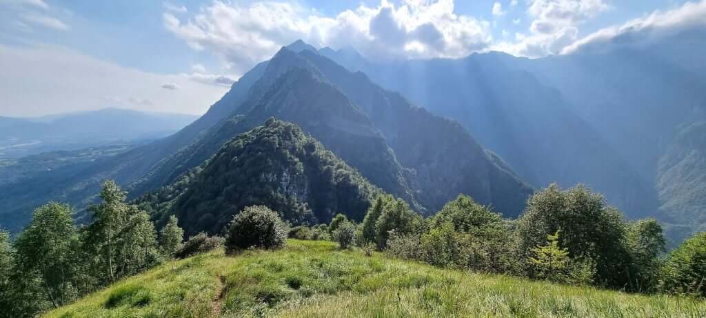 Hiking through the forest trail