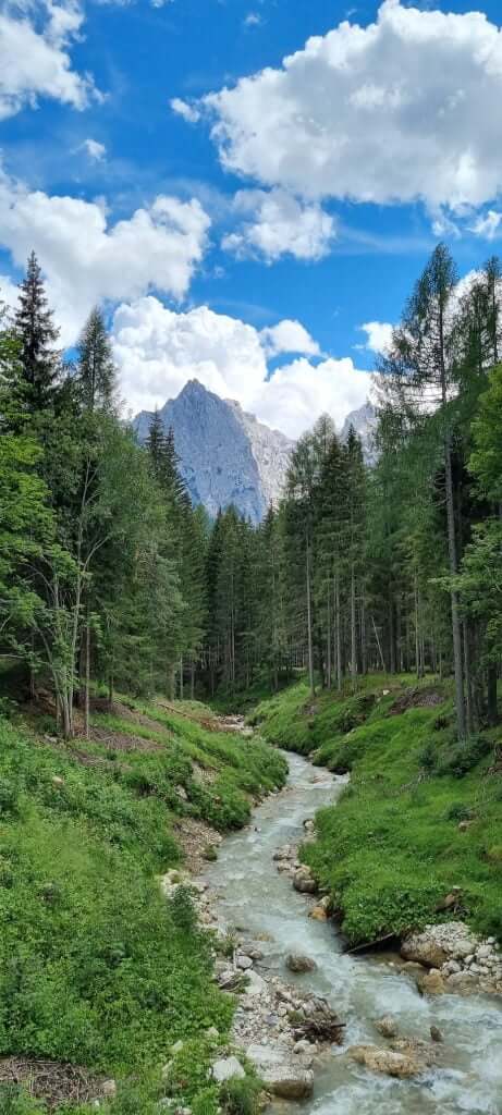 Mountain landscape with forest road