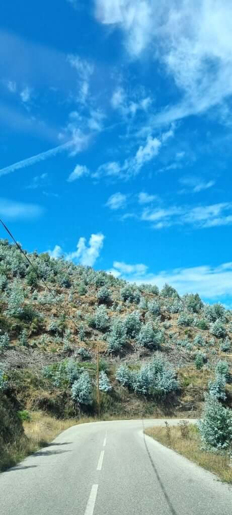 Narrow Portuguese roads