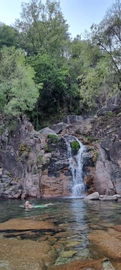 View of the waterfall pool from inside the water