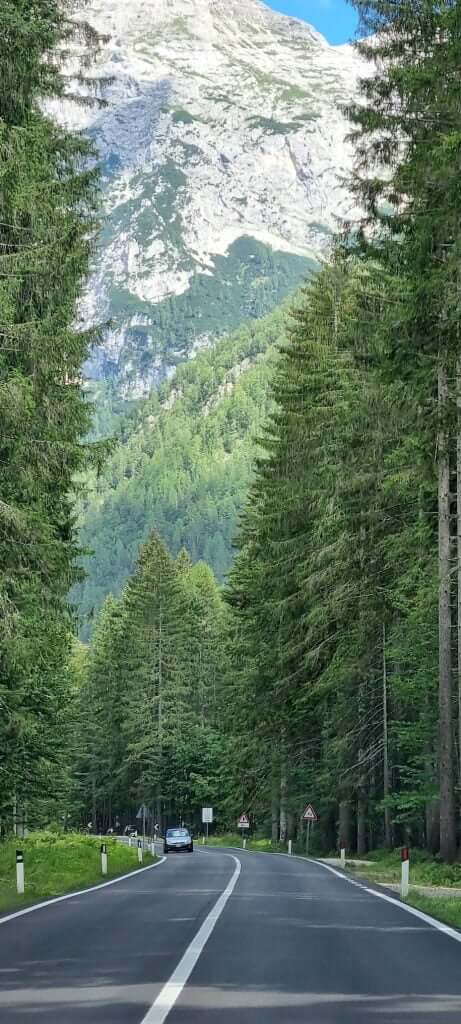 Mountain road with steep cliffs and green forests