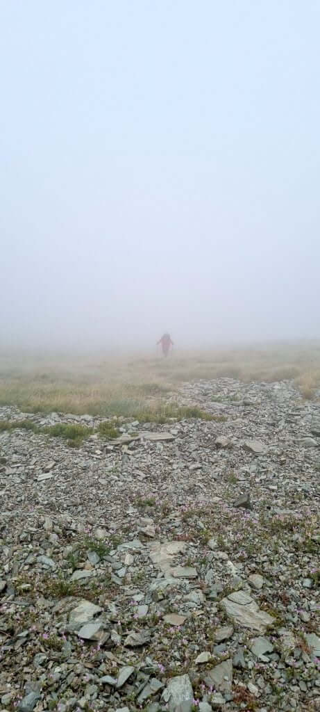Misty trail in the French Pyrenees