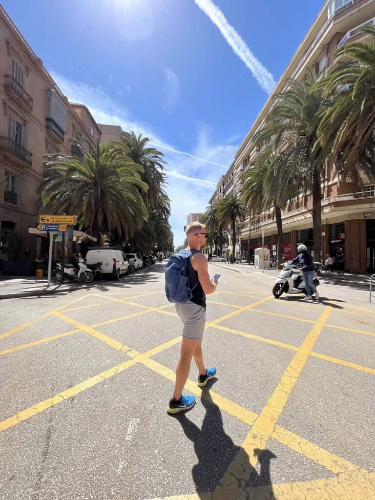 Barcelona street with palms