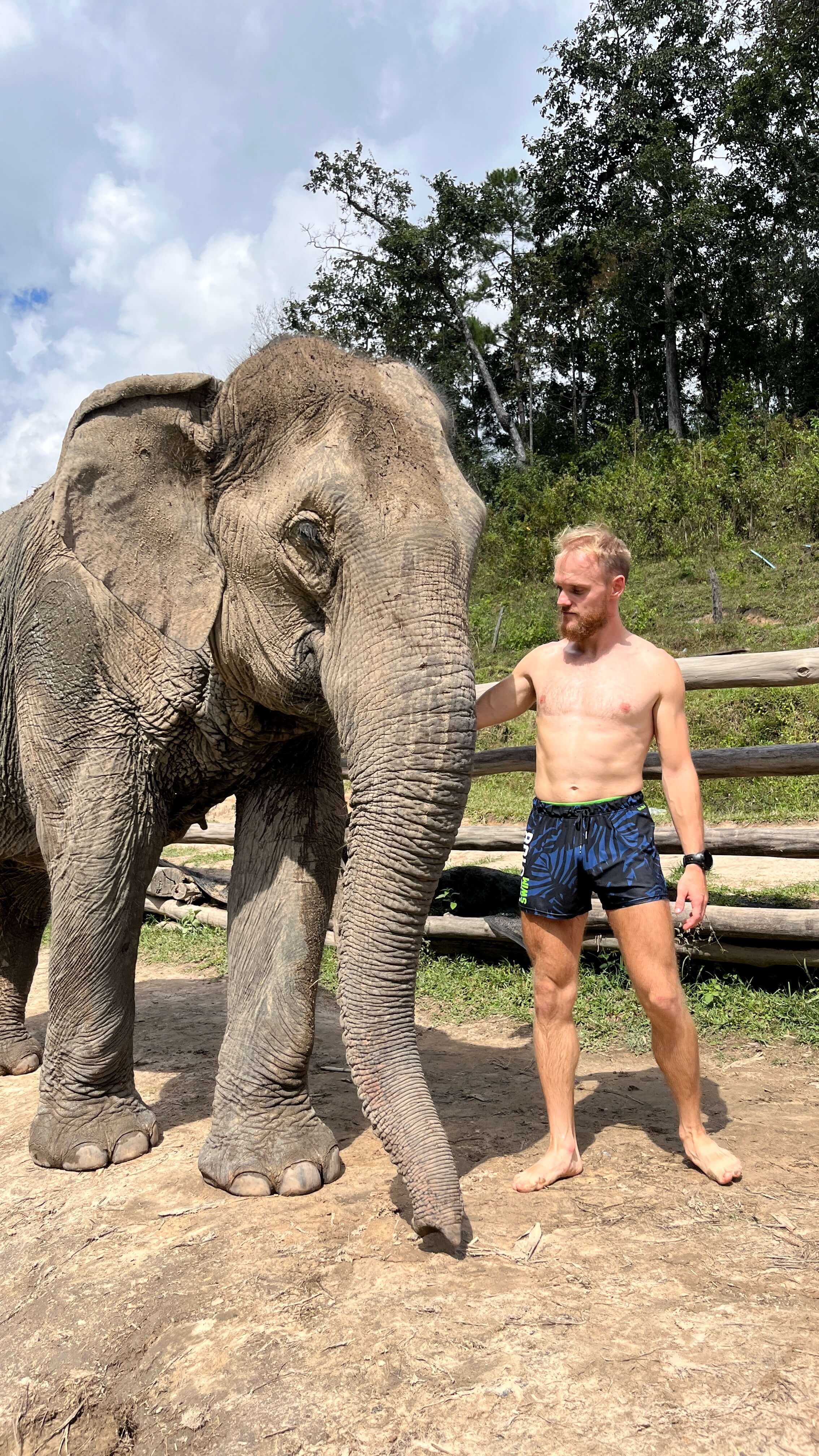 Standing with elephant